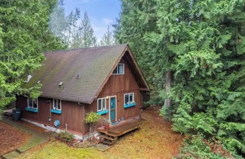 Glacier House | Peekaboo Lake View Cabin in the Trees w/Hot Tub
