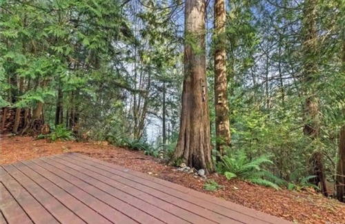 Glacier House | Peekaboo Lake View Cabin in the Trees w/Hot Tub