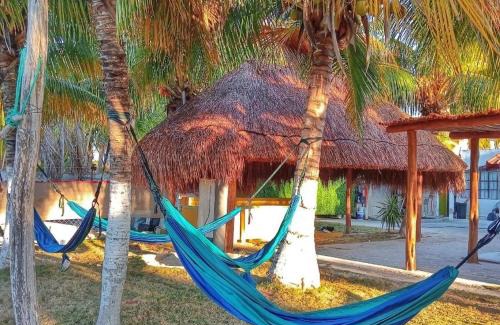 Chelem Hotel | Pelican Inn at Las Dunas Chelem