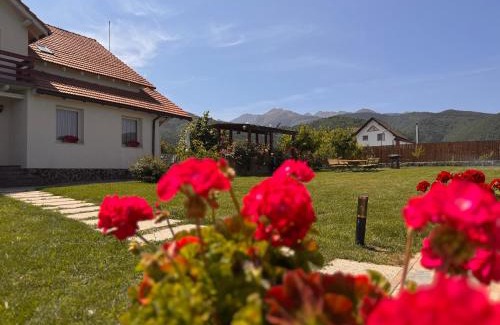 Cristian House | Pensiunea Artemis