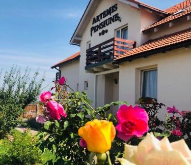 Cristian House | Pensiunea Artemis