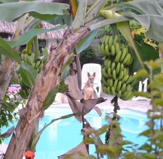 Punaauia House | Pension De La Plage
