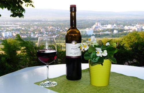 Mainz-Bingen House | Pension Forstgut Waldeck