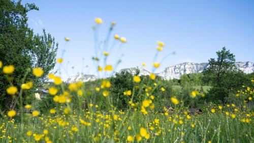 Steinbach am Attersee Apartment | Pension Hanslmann