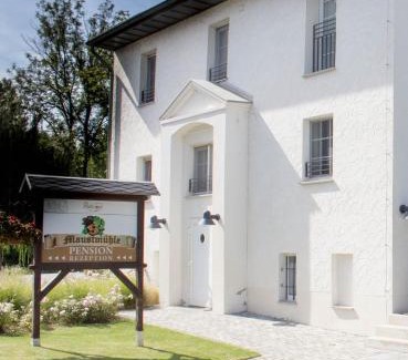 Teichland Hotel | Pension-Maustmühle