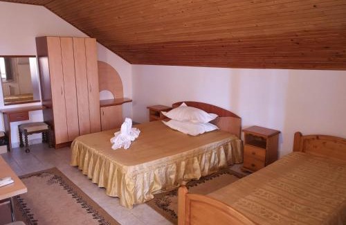 Douazeci si Trei August House | Pension Nina