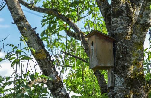 Wagrain House | Pension Zeitlos