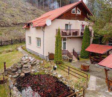 Toplita Hotel | Pensiune Restaurant Căprioara Toplița