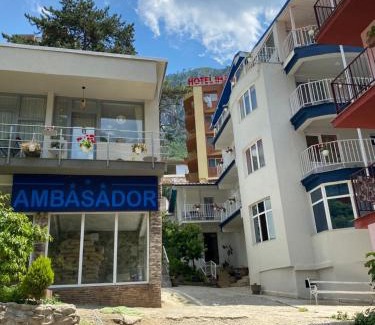 Baile Herculane House | Pensiunea Ambasador