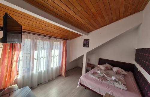 Busteni House | Pensiunea Liziera