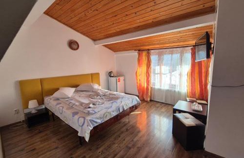 Busteni House | Pensiunea Liziera