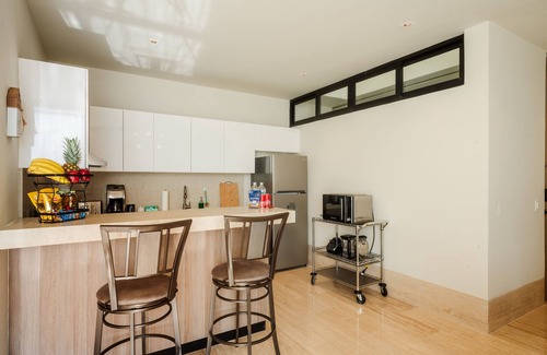 Colonia Adolfo Lopez Mateos Condo | Penthouse Perfect-Just Released