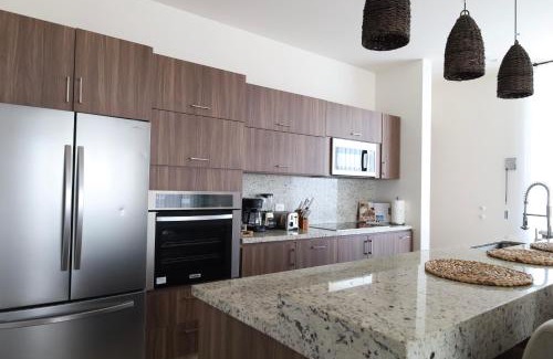 San Jose del Cabo Apartment | Penthouse with panoramic terrace and pool