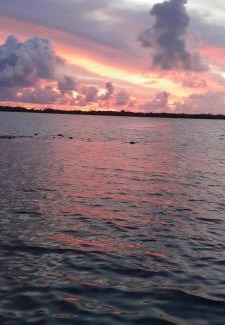 Te-Fare-Arii House | Penu Maurua 1