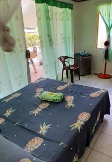 Te-Fare-Arii House | Penu Maurua 1