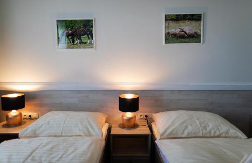 Nemsova House | Penzión Uhliská a Depandance Gazdovský dom