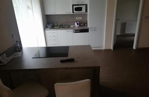 Decin House | Penzion Andy