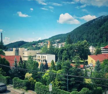 Trencianske Teplice House | Penzion Fontis Terrae