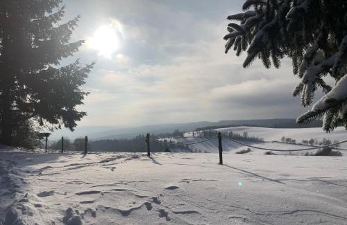 Cotkytle Hotel | Penzion Gansberg