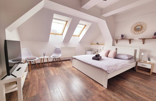 Usti nad Labem District House | Penzion Orion