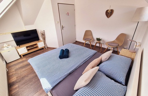 Usti nad Labem District House | Penzion Orion