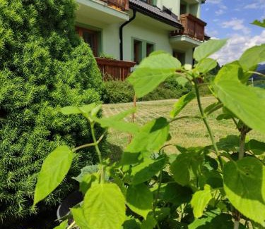 Liptovske Revuce House | Penzion Soltis