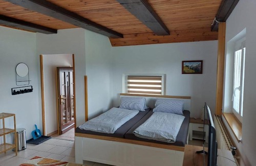 Lipno nad Vltavou House | Penzion U Sojků