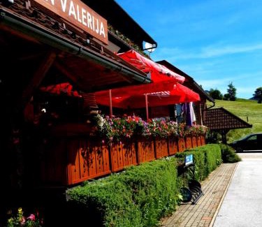 Zgornje Jezersko Bed & Breakfast | Penzion Valerija