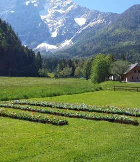 Zgornje Jezersko Bed & Breakfast | Penzion Valerija