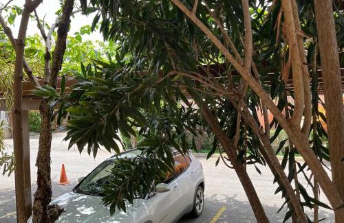 Jardim Paraiso Apartment | Pequeno Paraíso I