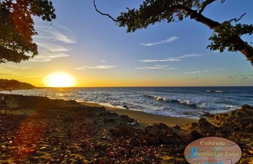 Cabarete Hotel | Perla Marina Encuentro Surf Beach Ecolodge Kite Cabarete by BTC Group Crypto