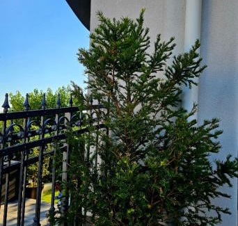 Kastel Kambelovac Apartment | Perla No1