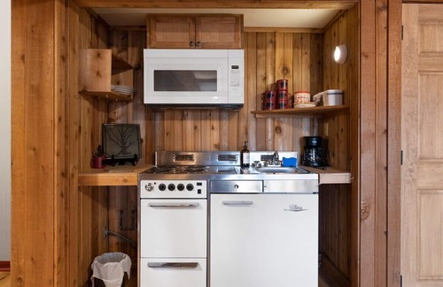 Big Canoe Cabin | Pet Friendly Cabin: Hot Tub, Game Room, Fire Pits