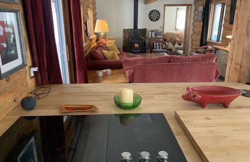 Sun Valley Cabin | Pet Friendly quiet Cabin with privacy and backcountry access.
