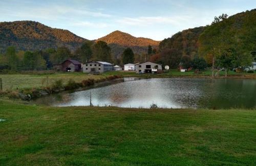 Barnardsville House | Pet friendly rustic cabin with views 26 min to downtown Asheville