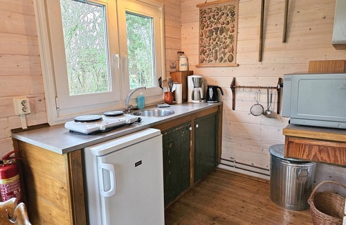 Grijpskerke House | Pet-friendly vacation home in an idyllic location on the Zeeland coast!