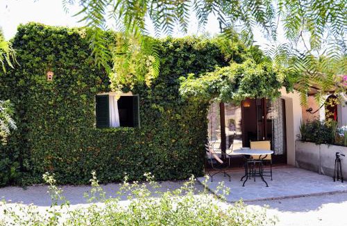 Campos Hotel | Petit Hotel Es Figueral