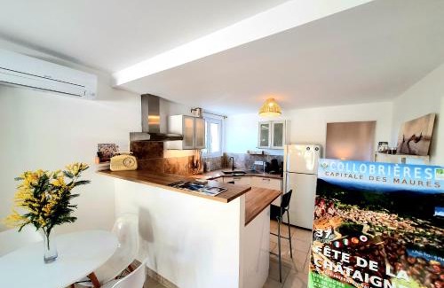 Collobrieres Apartment | Petit Paradis