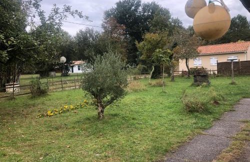 Hourtin House | Petite maison rustique et atypique