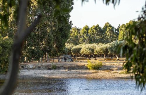 Yallingup House | Petra Olive 2