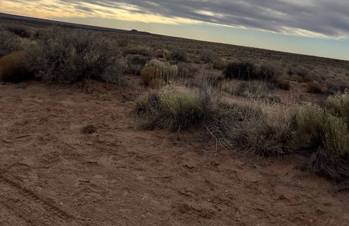 Holbrook RV Rental | Petrified Forest Campground Raw barren Land