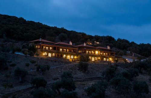 Aristotelis Villa | Petrini Spiti