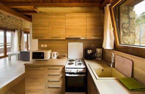 Aristotelis Villa | Petrini Spiti