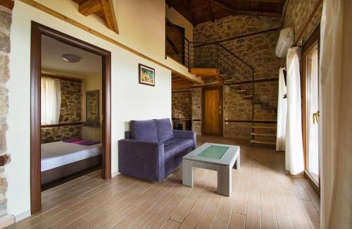 Aristotelis Villa | Petrini Spiti