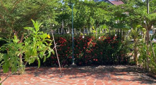 Thoi Binh House | PHẠM Homestay Ca Mau