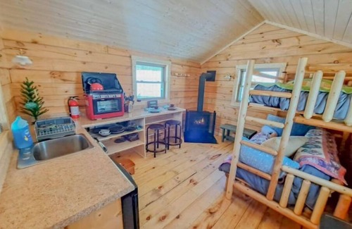 Hovland Cabin | Phoenix Rising Off-Grid Amish crafted log cabin near the BWCA & SHT - Sled Dogs!