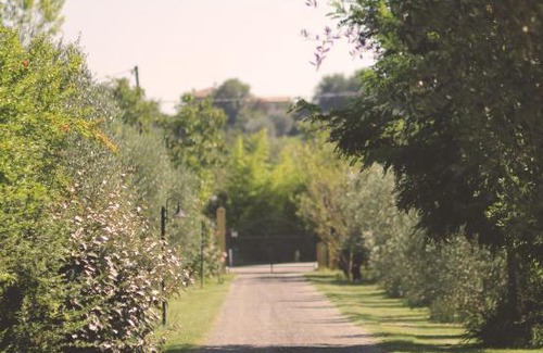 Patrignano House | Pian del Pigro