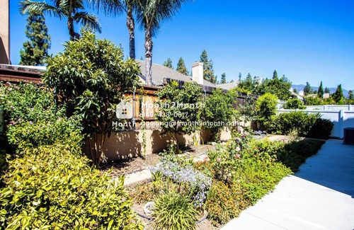 Upland House | Piano Available & Furnished Yard & Dedicate Workspace & Treadmill #41829
