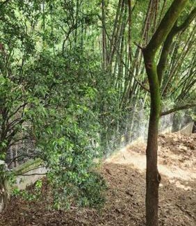 Robledo Apartment | Pilarica Gardens