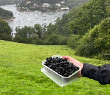 Noss Mayo House | Pilchards Cottage